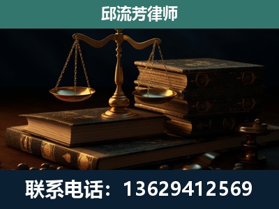 靖西-刑事案件